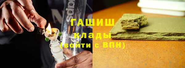 стаф Бородино