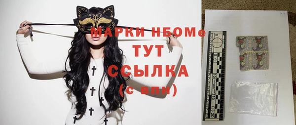 стаф Бородино