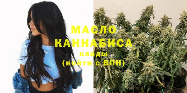 стаф Бородино
