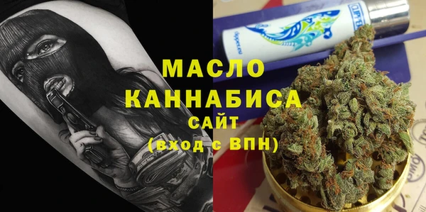 стаф Бородино