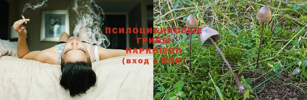 скорость Бронницы