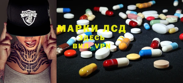 стаф Бородино