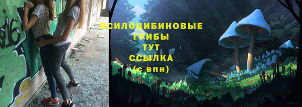 a pvp Бугульма