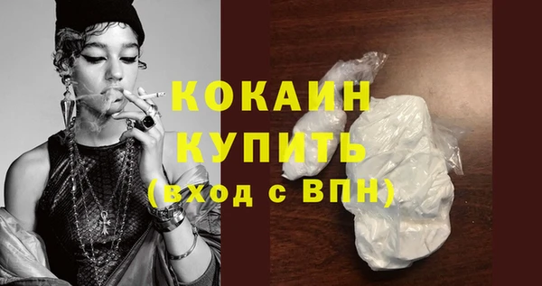 стаф Бородино