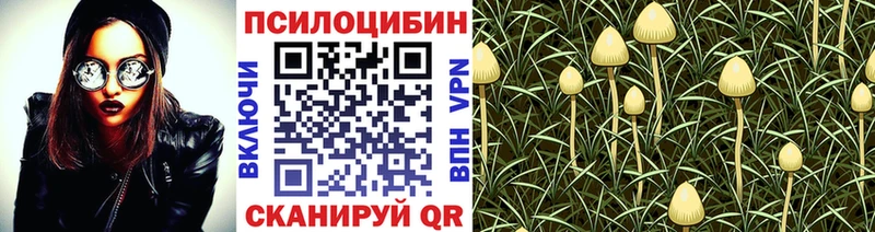 Псилоцибиновые грибы GOLDEN TEACHER  Купить  Гвардейск 