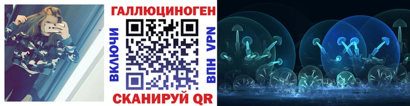 Галлюциногенные грибы Psilocybine cubensis Гвардейск